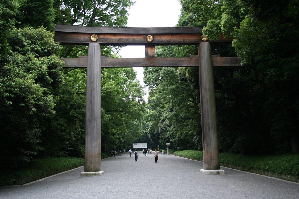 Torii del Santuario Meiji